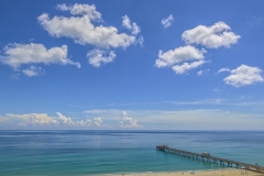 Blues-DFB-9-11-25-copy