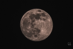 Moon-3-12-3-25-copy