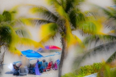 Umbrellas-and-Palm-trees-copy