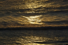 Warm-Ocean-Cold-Day-2-2-26